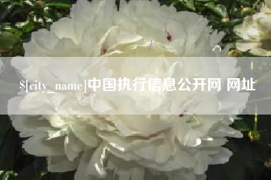 瓦房店中国执行信息公开网 网址