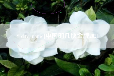 瓦房店中国的几块金牌2021