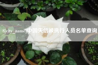 瓦房店中国失信被执行人员名单查询