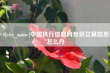 瓦房店中国执行信息网查到立案信息怎么办