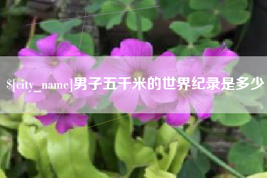 瓦房店男子五千米的世界纪录是多少