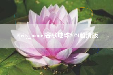 瓦房店谷歌地球2024超清版