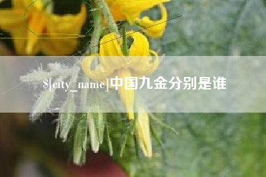 瓦房店中国九金分别是谁
