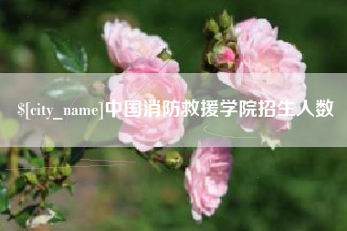 瓦房店中国消防救援学院招生人数
