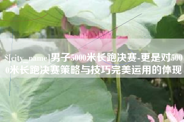 瓦房店男子5000米长跑决赛-更是对5000米长跑决赛策略与技巧完美运用的体现