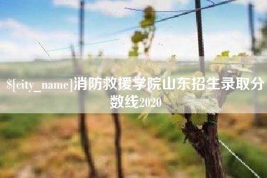 瓦房店消防救援学院山东招生录取分数线2020