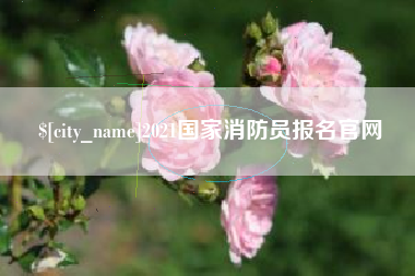 瓦房店2021国家消防员报名官网