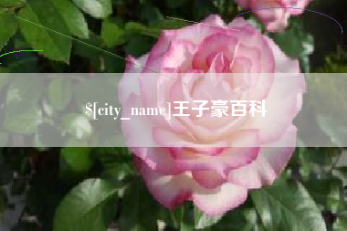 瓦房店王子豪百科