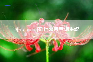 瓦房店执行公告查询系统