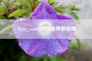 瓦房店中国金牌都是啥