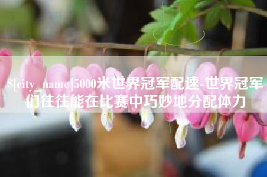 瓦房店5000米世界冠军配速-世界冠军们往往能在比赛中巧妙地分配体力