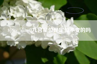 瓦房店九宫星位是定位不变的吗