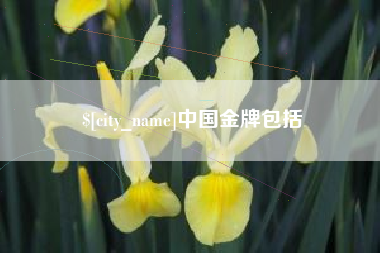 瓦房店中国金牌包括