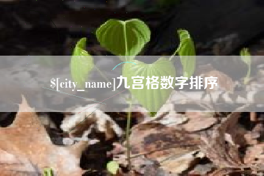 瓦房店九宫格数字排序
