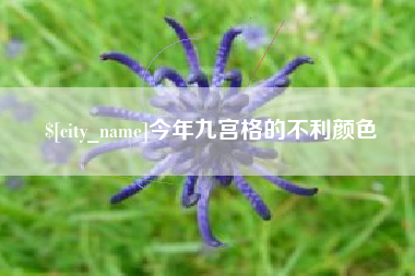 瓦房店今年九宫格的不利颜色