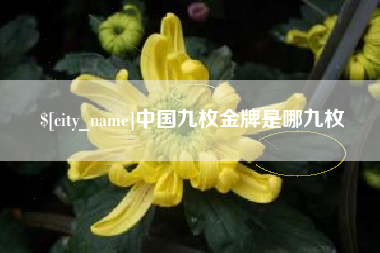瓦房店中国九枚金牌是哪九枚