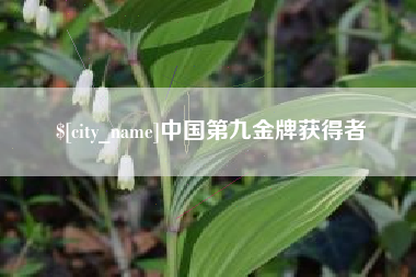 瓦房店中国第九金牌获得者
