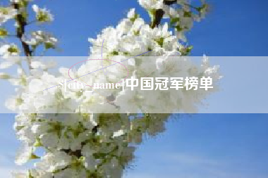 瓦房店中国冠军榜单