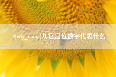瓦房店九宫宫位数字代表什么