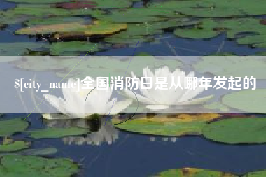 瓦房店全国消防日是从哪年发起的