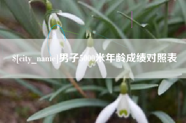 瓦房店男子5000米年龄成绩对照表