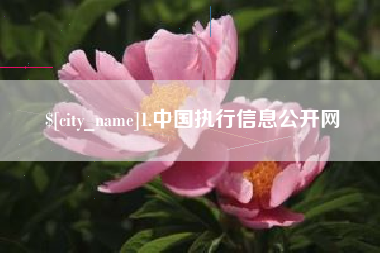 瓦房店1.中国执行信息公开网