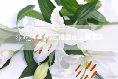 瓦房店九宫格盘点工具图片