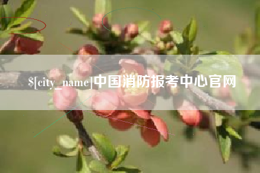 瓦房店中国消防报考中心官网