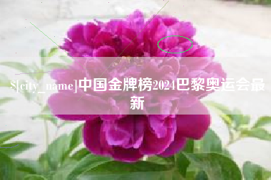 瓦房店中国金牌榜2024巴黎奥运会最新