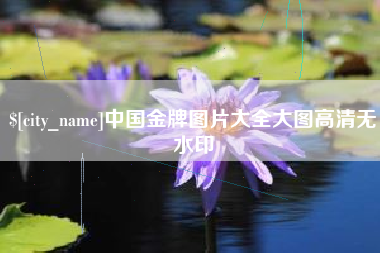 瓦房店中国金牌图片大全大图高清无水印