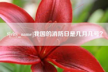 瓦房店我国的消防日是几月几号？