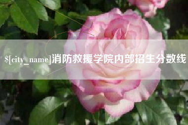 瓦房店消防救援学院内部招生分数线