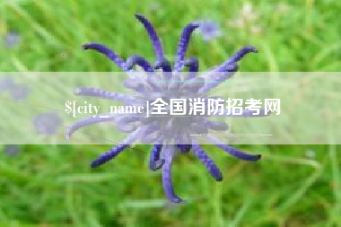 瓦房店全国消防招考网