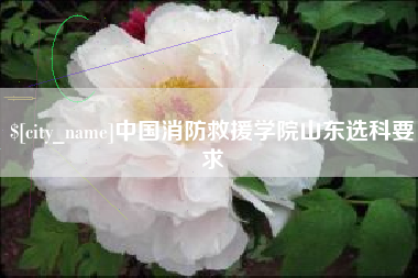 瓦房店中国消防救援学院山东选科要求