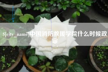 瓦房店中国消防救援学院什么时候政审