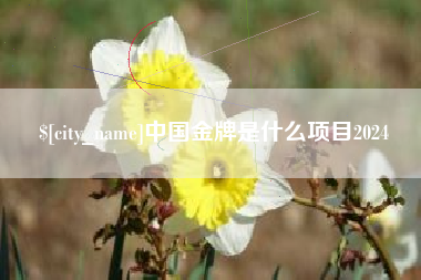 瓦房店中国金牌是什么项目2024