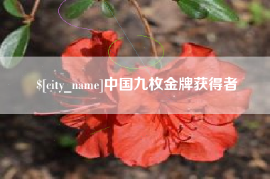瓦房店中国九枚金牌获得者