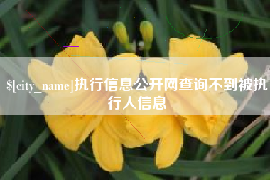 瓦房店执行信息公开网查询不到被执行人信息