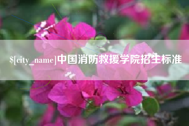 瓦房店中国消防救援学院招生标准