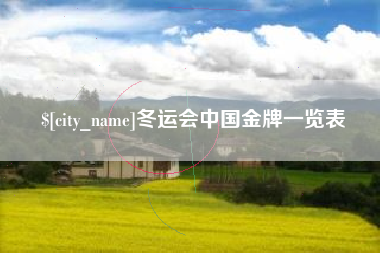 瓦房店冬运会中国金牌一览表