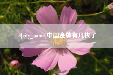 瓦房店中国金牌有几枚了