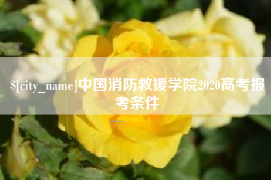 瓦房店中国消防救援学院2020高考报考条件