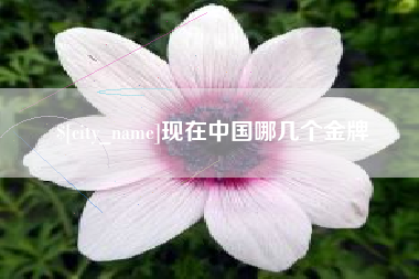 瓦房店现在中国哪几个金牌