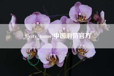 瓦房店中国消防官方