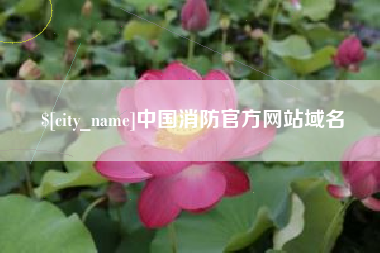 瓦房店中国消防官方网站域名