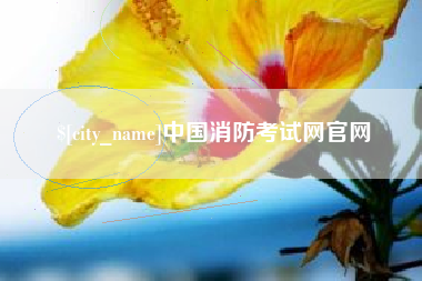 瓦房店中国消防考试网官网