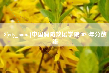 瓦房店中国消防救援学院2020年分数线