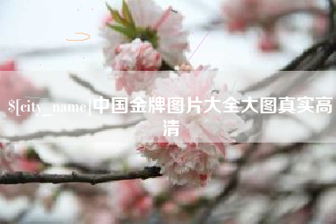 瓦房店中国金牌图片大全大图真实高清
