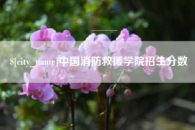 瓦房店中国消防救援学院招生分数