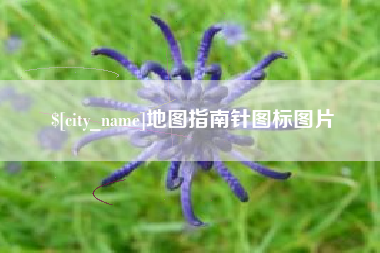瓦房店地图指南针图标图片